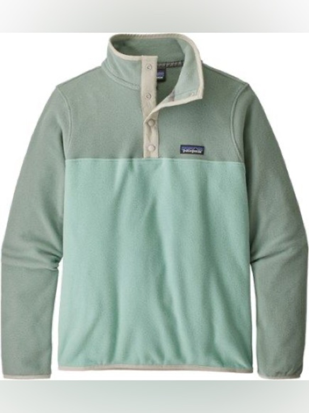 Patagonia Micro D Fleece